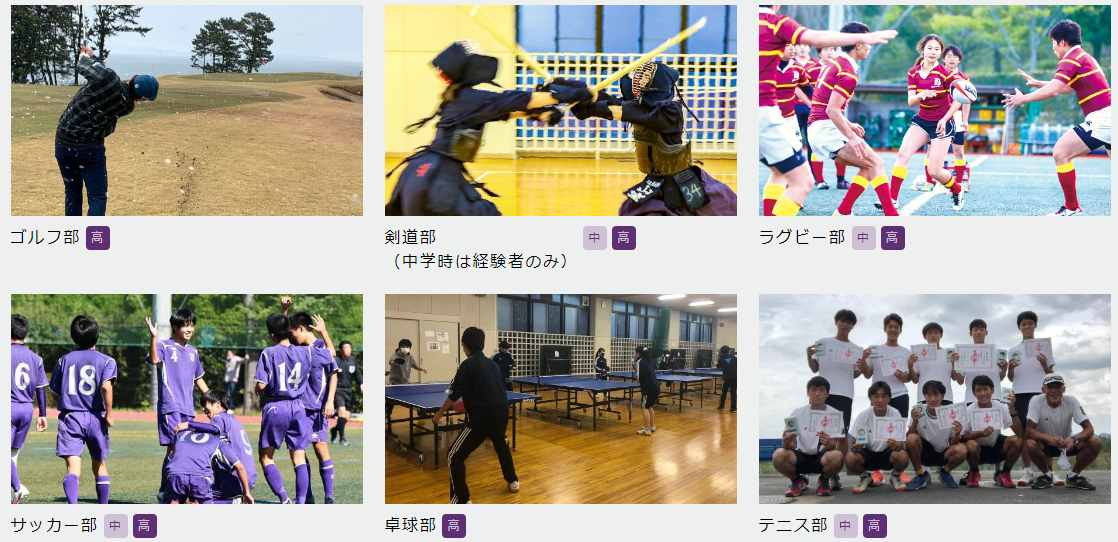 图片14.png
