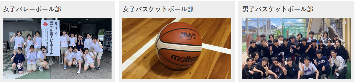 图片31.png