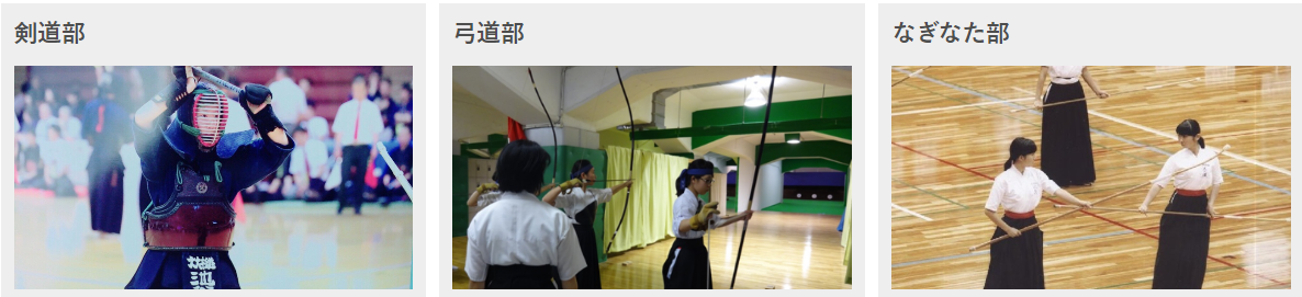 图片33.png
